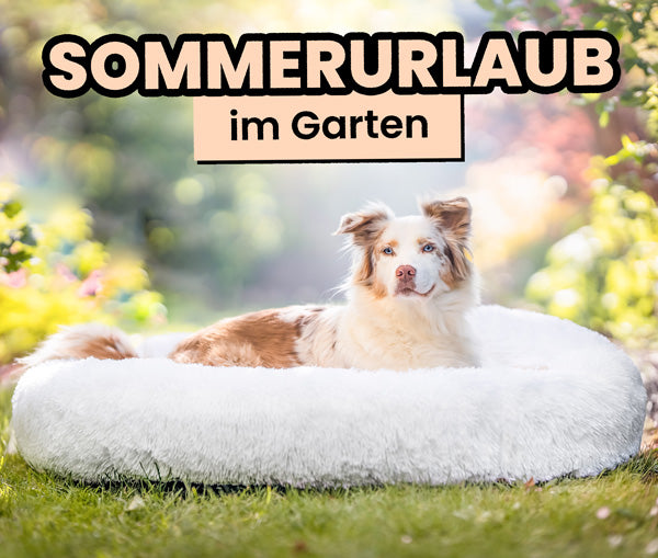 Sommerurlaub mit Hund im Garten